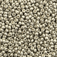 Miyuki seed beads 11/0 Duracoat Galvanized Light Pewter Silver 11-4221