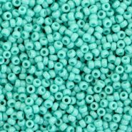 Miyuki seed beads 11/0 Opaque Turquoise Green 11-412