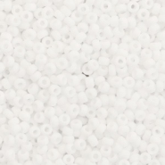 Miyuki seed beads 11/0 Matte White 11-402f