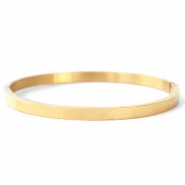 Stainless steel bracelets Gold