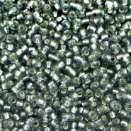 Miyuki seed beads 11/0 Silverlined Gray 11-21