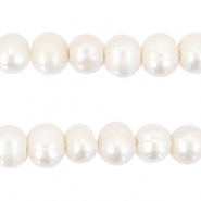 BQ Freshwater pearls round 7-8mm Natural White