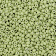 Miyuki seed beads 11/0 Duracoat Opaque fennel green 11-4473