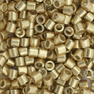 Miyuki beads delica's 8/0 Duracoat Galvanized Champagne DBL-1834