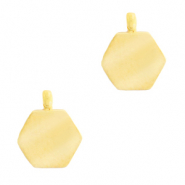 Stainless steel charms hexagon Gold