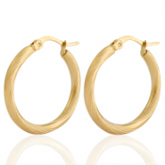 Stainless steel earrings creole Gold