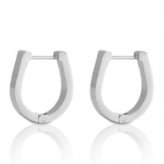 Stainless steel earrings horseshoe Silver