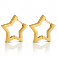 Stainless steel earrings star Gold