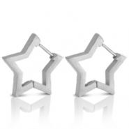 Stainless steel earrings star Silver