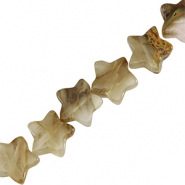 Natural stone beads star Beige