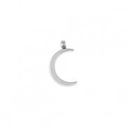 Stainless steel charms La Luna moon Silver
