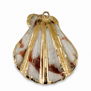 Shell pendants specials Scallop Ivory-Gold