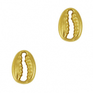 Stainless steel charms connector cowrie Gold