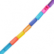 Shell beads tube Multicolour