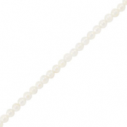 Shell beads round White