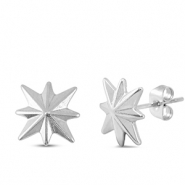 Stainless steel earrings / earpins star Silver