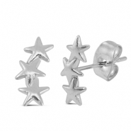 Stainless steel earrings / earpins star Silver