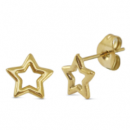 Stainless steel earrings / earpins star Gold