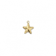 Stainless steel charms star Gold
