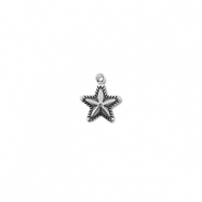 Stainless steel charms star Silver
