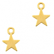DQ European metal charms star Gold (nickel free)