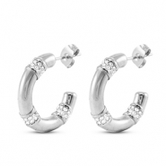 Stainless steel earrings / earpins Silver