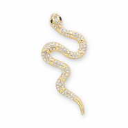 Brooches snake Gold-Transparent-Black