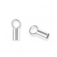 Eco-brass&reg; DQ European metal findings end cap Antique Silver (Nickelfree)