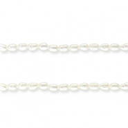 Freshwater pearls rice Natural White