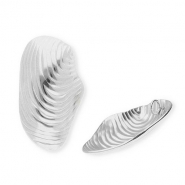 Stainless steel charms shell Silver