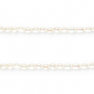 BQ Freshwater pearls nugget round 6-7mm Natural White