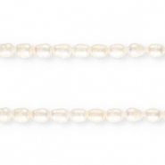 TQ Freshwater pearls rice 11x8mm Natural White