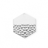 Stainless steel charms hexagon Silver