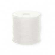 Nylon cord 1 mm Transparent