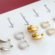 NEW New stunning stainless steel earrings