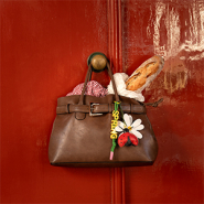 NEW Mega collection bag charms