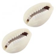 Cowrie shell pieces Ivory grey