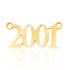 Stainless steel charms / connector year 2001 Gold