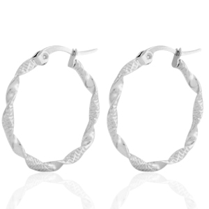 Stainless steel earrings creole Silver