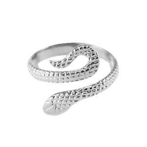 Stainless steel rings Silver