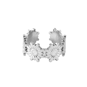 Stainless steel rings Silver