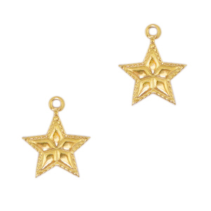 Stainless steel charms star Gold