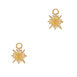 Stainless steel charms star Gold