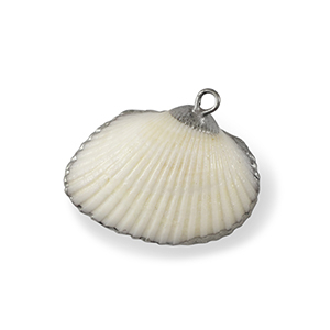 Shell pendants specials Scallop White-Silver