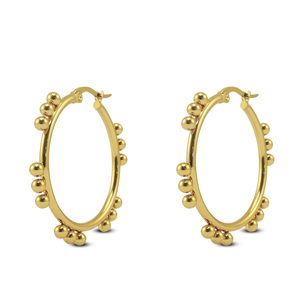 Stainless steel earrings creole Gold