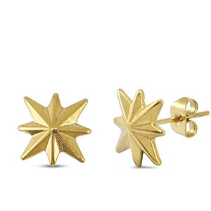 Stainless steel earrings / earpins star Gold