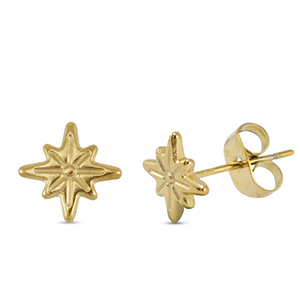 Stainless steel earrings / earpins star Gold