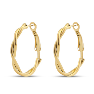 Stainless steel earrings creole Gold