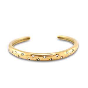 Stainless steel bracelets bangle Gold
