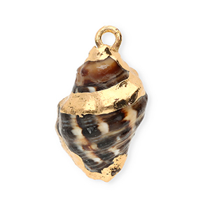 Shell pendants specials whelk Brown-Gold